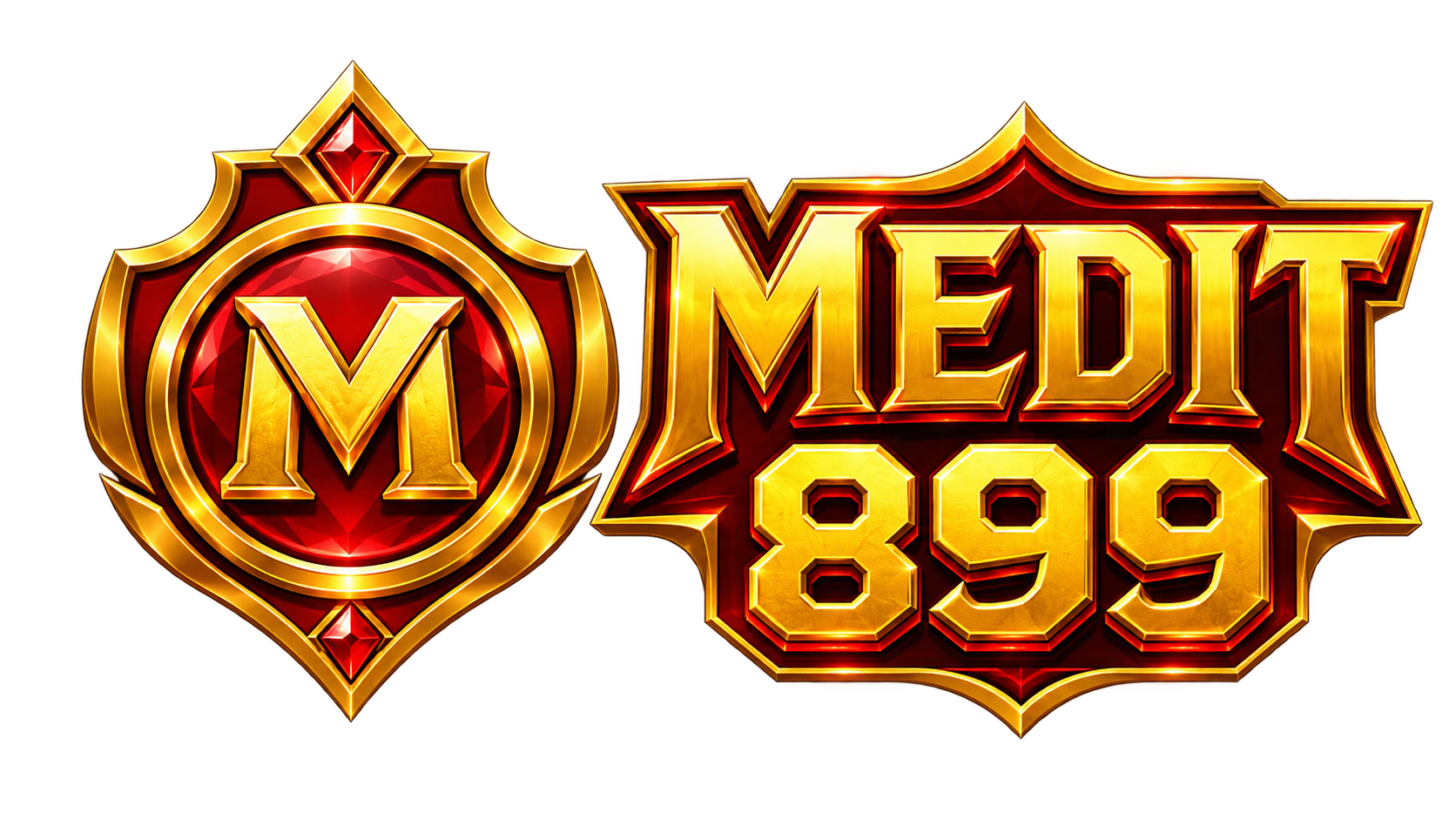 Logo MEDIT899 SAGAMOD
